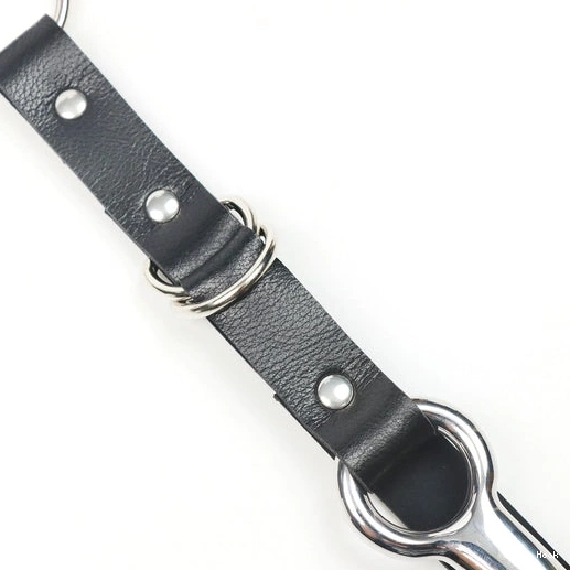 Leash EverydayUse 5853 Kinky Collar Hook with and Anal 0727